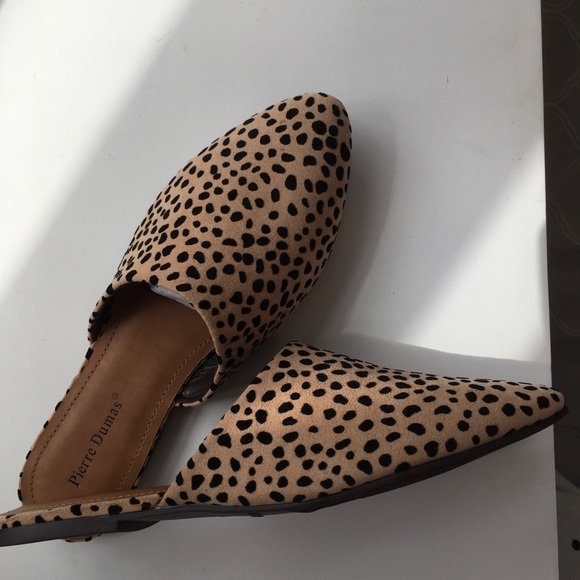 Cheetah Mule - Picture 2 of 3